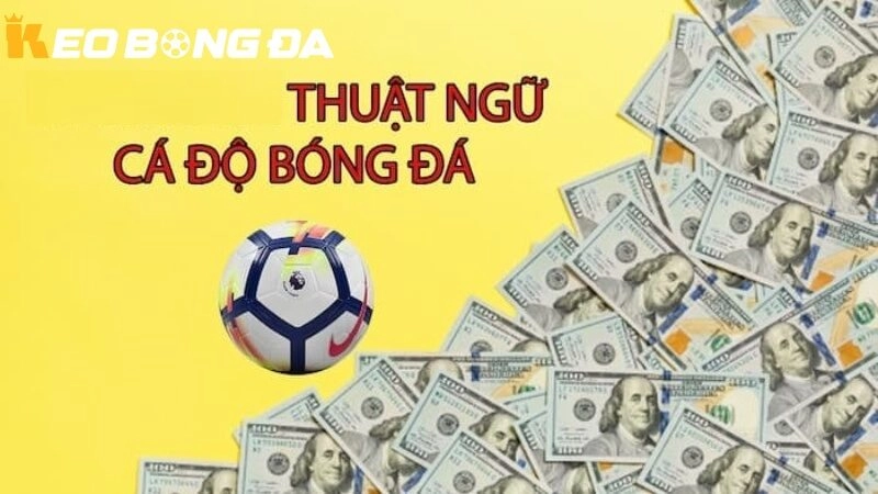 Giải Mã Các Loại Kèo Bóng Đá Phổ Biế